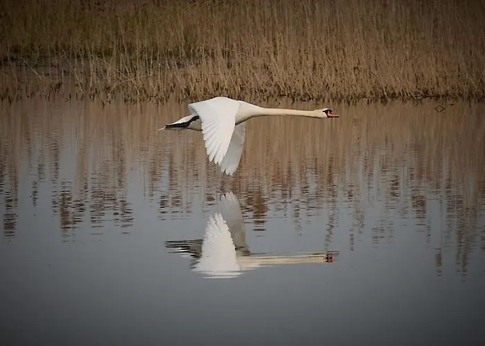 Historisches Nyaraló *